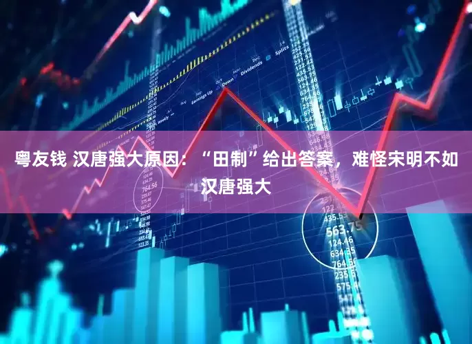粤友钱 汉唐强大原因：“田制”给出答案，难怪宋明不如汉唐强大